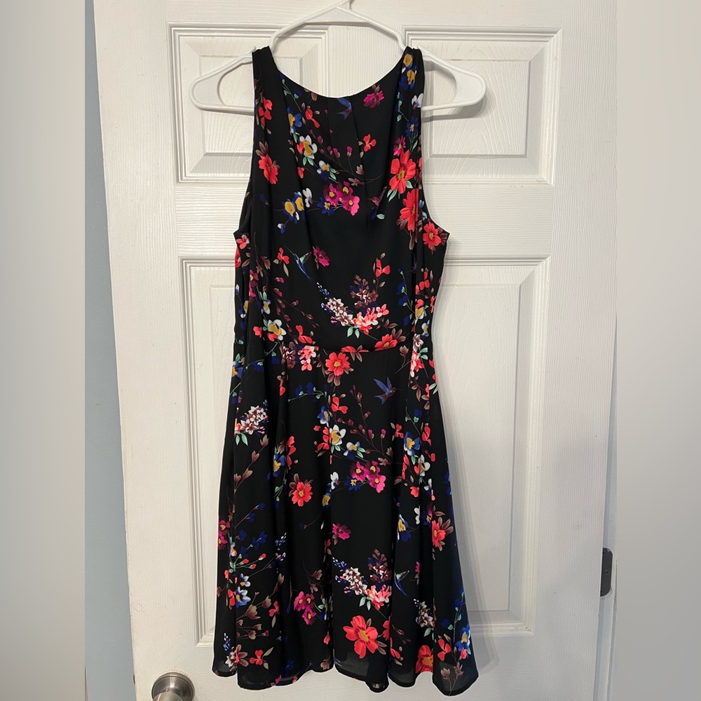 Express black fit and flare dress